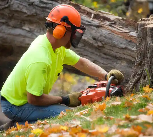 tree services Swanton